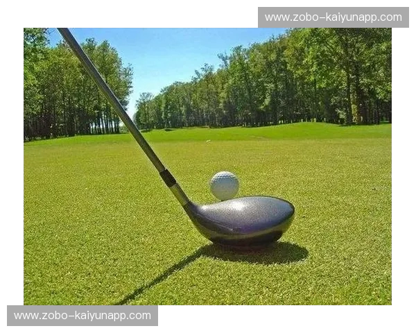 高尔夫图集:绿茵·光影·人生 高尔夫图集:绿茵·光影·人生